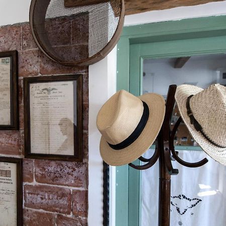 Il Glicine Bed & Breakfast San Dorligo della Valle Eksteriør bilde