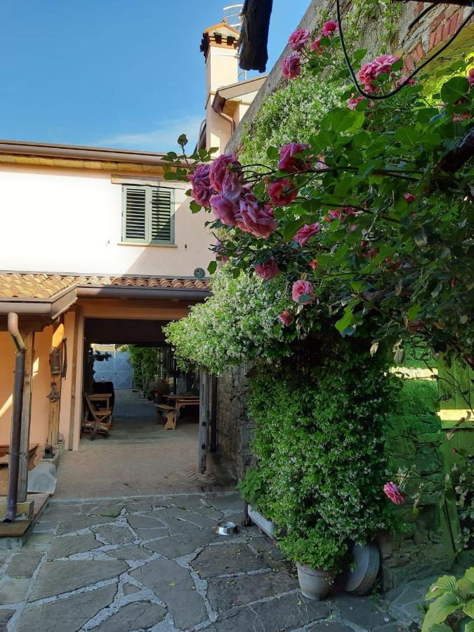 Il Glicine Bed & Breakfast San Dorligo della Valle Eksteriør bilde