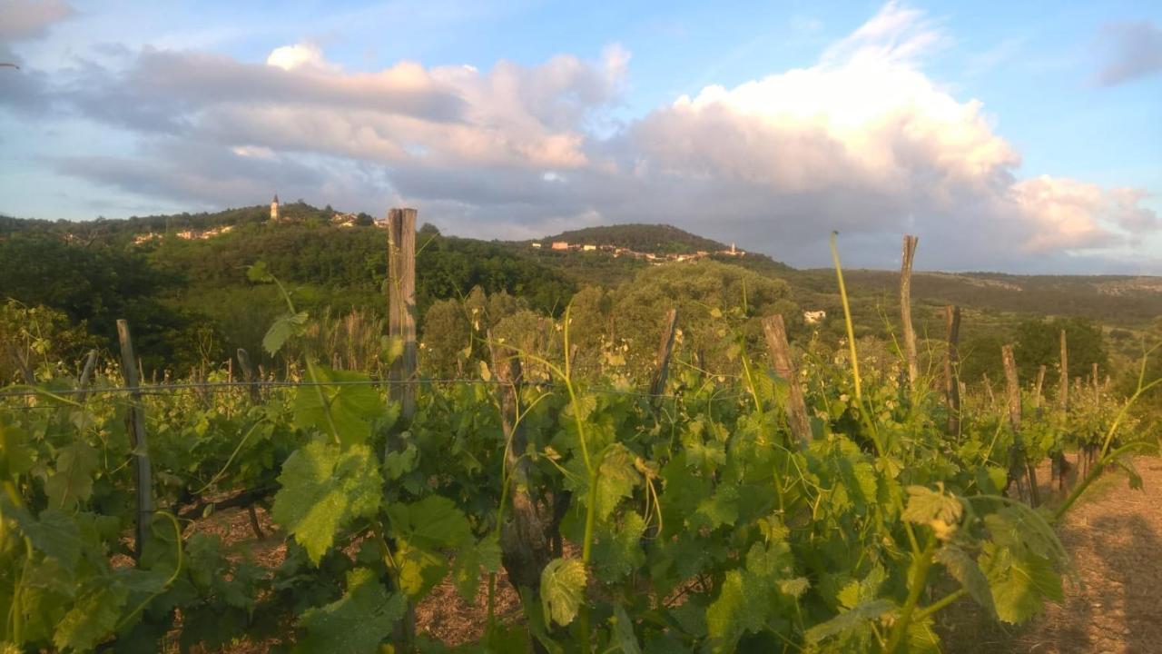 Il Glicine Bed & Breakfast San Dorligo della Valle Eksteriør bilde
