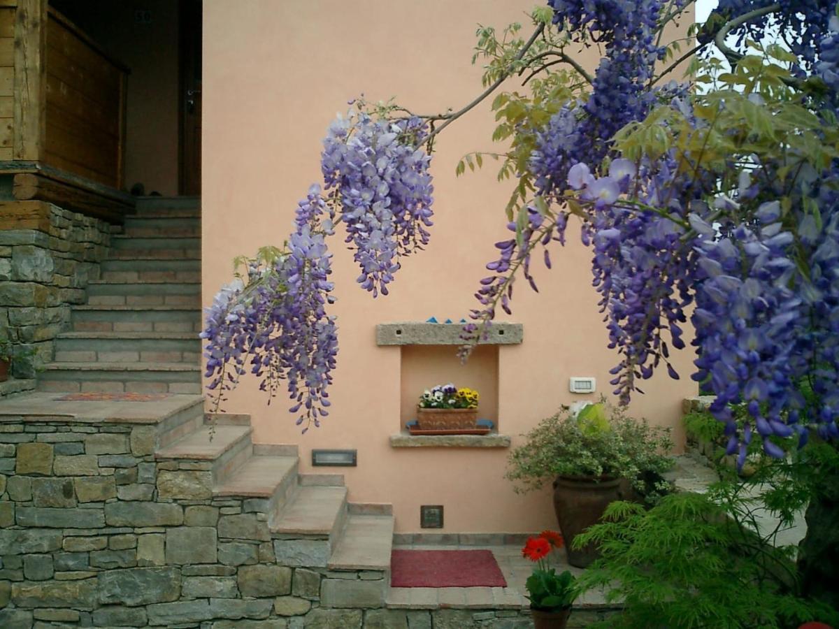 Il Glicine Bed & Breakfast San Dorligo della Valle Eksteriør bilde