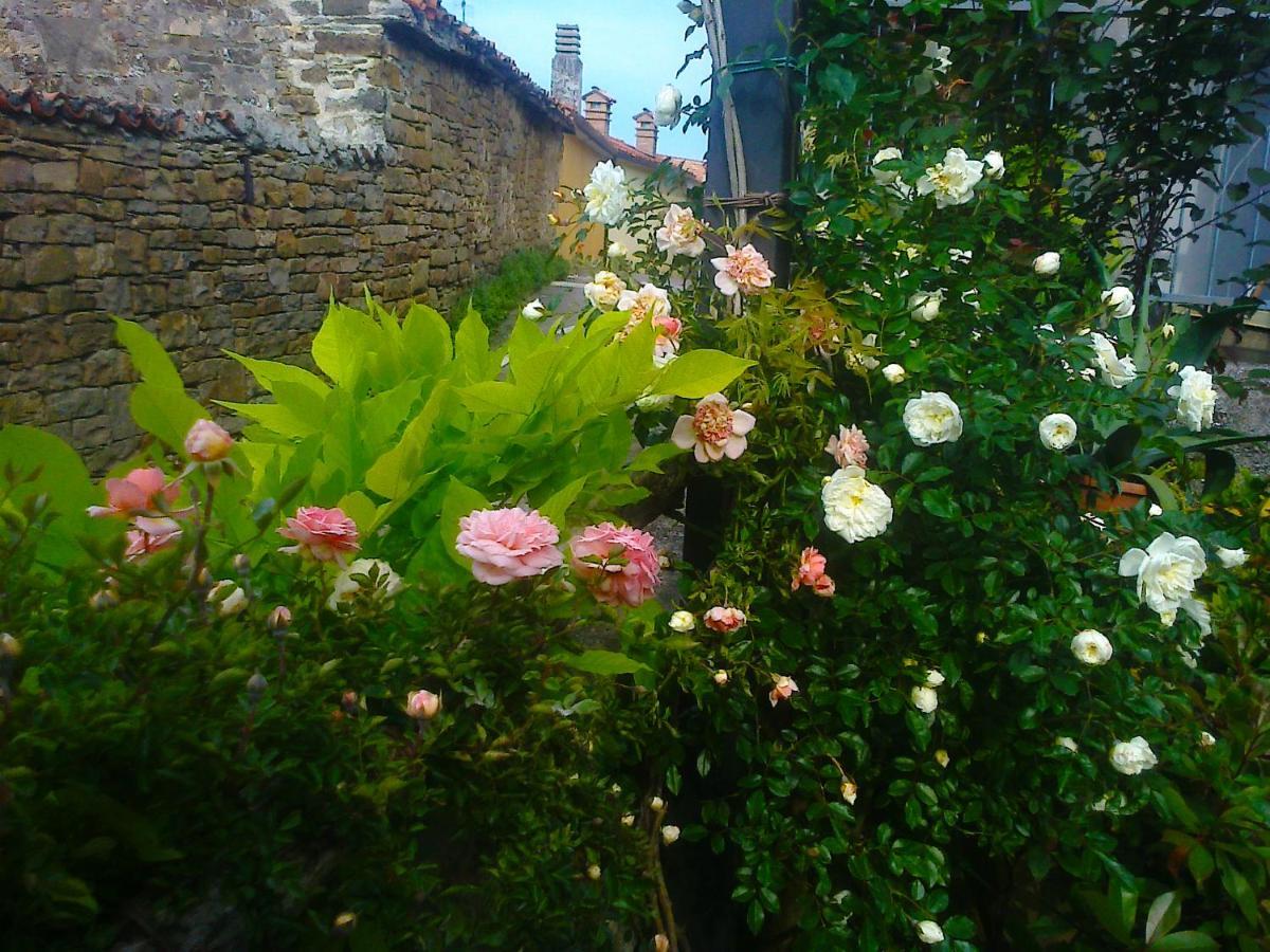Il Glicine Bed & Breakfast San Dorligo della Valle Eksteriør bilde