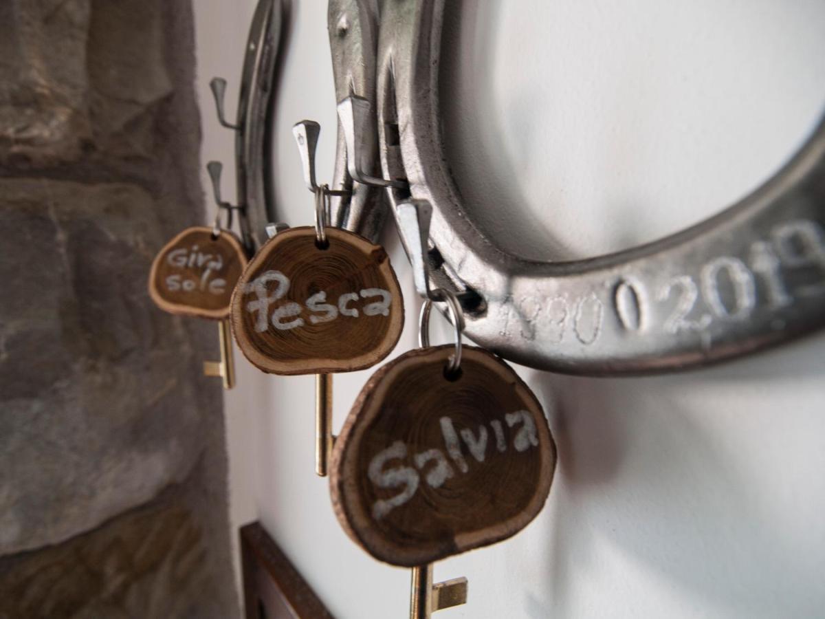 Il Glicine Bed & Breakfast San Dorligo della Valle Eksteriør bilde
