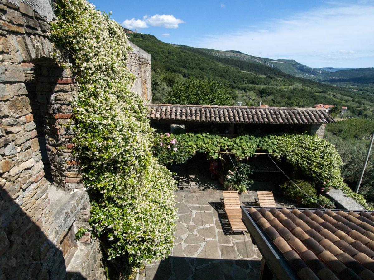 Il Glicine Bed & Breakfast San Dorligo della Valle Eksteriør bilde
